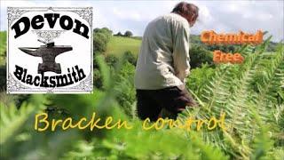 BRACKEN CONTROL non chemical