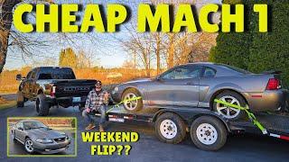 I Bought A CHEAP + NEGLECTED Mach 1 Mustang: Can I Fix And Flip In One Weekend??!!