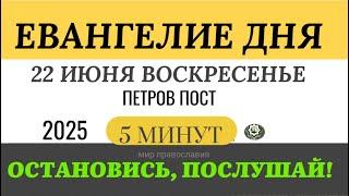 22 июня воскресенье Евангелие дня 2025 с толкованием #евангелие