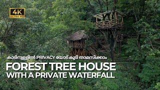 Forest Treehouse & Cottage with Private Waterfall  |  Bachelors & Couple Friendly  | Vlog#83