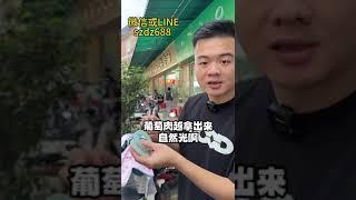 翡翠手镯|冰種葡萄肉翡翠手鐲，需要多少預算才能拿下，今天這條翡翠手鐲是姐姐們的夢中情鐲嗎#翡翠 #緬甸翡翠 #翡翠手镯 #翡翠手鐲 #翡翠直播g