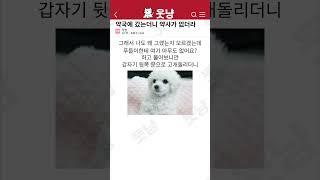 약국에 갔더니 약사가 없더라