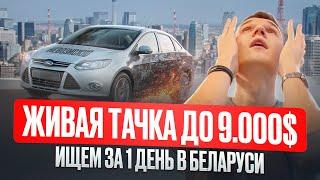 КАКОЙ АВТО КУПИТЬ ДО 9000$ - ПЫТАЕМСЯ НАЙТИ ЗА 1 ДЕНЬ - АВТОПОДБОР МИНСК