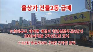 급매물과 경매직전 반값매매TV