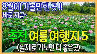 8월 여름 추천 여행지 5곳 / 외국보다 훨씬 더 멋진 대한민국 여행지 | Travel Korea