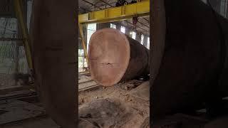 Cẩu trục này liểu ổn không các bác #sonsapgo #chiengodo #songo #camhong #wood