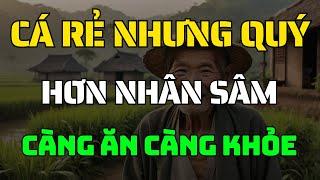6 Loại Cá Rẻ Mà Cực Quý – Dinh Dưỡng Hơn Nhân Sâm, Càng Ăn Càng Khỏe, Tiểu Đường Cũng Chào Thua