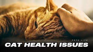 Top 10 Cat Health Issues