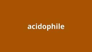 what is the meaning of acidophile