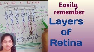 Easy way to remember the layers of Retina..