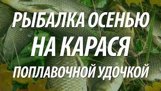 РЫБАЛКА НА КАРАСЯ ОСЕНЬЮ НА ПОПЛАВОЧНУЮ УДОЧКУ