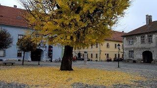 Old Osijek - Старый Осиек