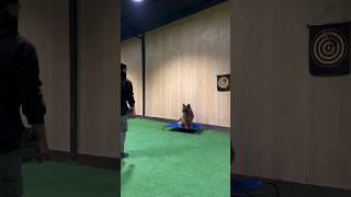 "How to Train Your German Shepherd: Expert Tips and Techniques"#karachi #dog  #pawsitivetraining