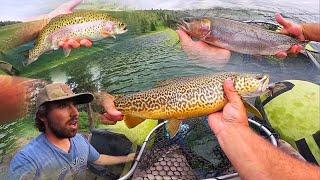 SOLO CAMPING and TROUT FISHING in the MOUNTAINS!! (Catch, Cook, and Camp)