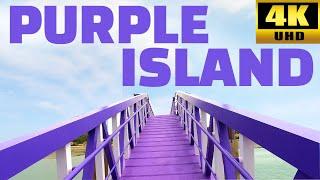 Walking on Purple Island / 'I PURPLE YOU' / Purple Village / Purple Bridge /  Shinan Korea 4K