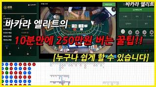 바카라 실전으로 250만원 수익내는법!!