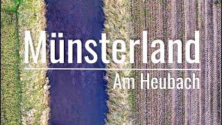 Münsterland - Am Ufer des Heubachs