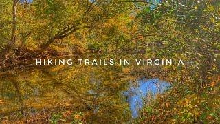 Best Hiking Trails in Virginia