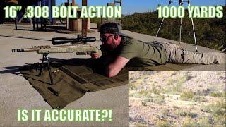 Is a 16" .308 Win Accurate @ 1000 Yards? pt 1 **168gr Sierra MatchKing**