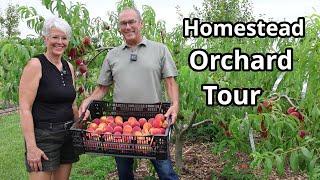 Homestead Orchard Tour: Growing Bounty on our Small Farm