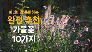 미리미리 준비하는 완전 추천 가을꽃 10가지 | 추명국, 솔체, 큰꿩의비름, 운남국화 등 키우기 쉽고 잘자라는 가을꽃 소개 | 10 Recommended Autumn Flowers