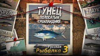 "Мутант" Тунец Полосатый. Гренландия. Русская Рыбалка 3.