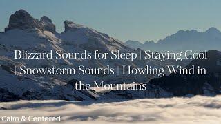 Blizzard Sounds for Sleep |  Staying Cool | Snowstorm Sounds | Howling Wind in the Mountains