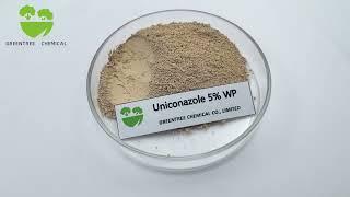 Uniconazole 5% WP CAS NO. 76714-83-5 Plant Growth Retardant Hormone