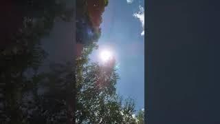 А  жизнь она совсем не та, о которой мечталось