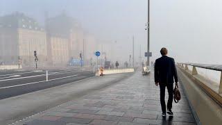 Stockholm Walks: beautiful morning fog around Slussen. Misty walk from Södermalm to Old Town