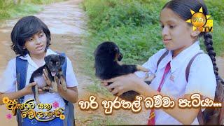 හරි හුරතල් බව්වා පැටියා  | Akurata Yana Welawe