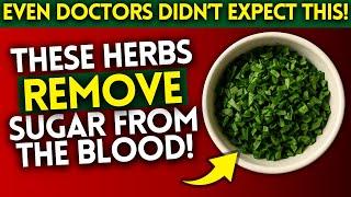 2 Incredibly CHEAP Herbs That Fight Diabetes | (Even Doctors Were Shocked!)