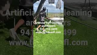 www.turfcleanfl.com