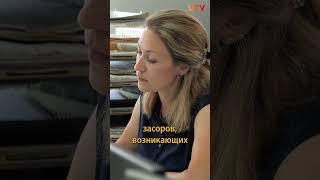 Почему нельзя смывать туалетную бумагу в унитаз?  #новости #уфа