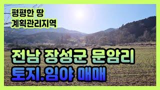 전남 장성군 토지매매 편백나무숲 축령산 자락 계획관리지역(매물번호23번)