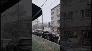 하얀 겨울, 눈 내리는 순간을 담다