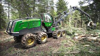 ABATTAGE FORESTIER en France ! 100% JOHN DEERE | PORTEUR & ABATTEUSE | ALLIANCE