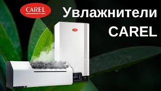 Увлажнители CAREL