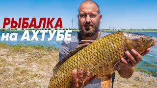 Рыбалка на сазана в Астрахани 2021!САЗАН НА ЗАКИДУШКУ и САМОДЕЛЬНЫЙ ЖМЫХ (макуху) |В ПОИСКАХ САЗАНА
