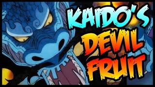 What Really Is Kaido's Devil Fruit? - One Piece Theory | Tekking101