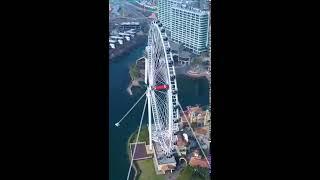 Hong Kong and Macau. Looking down at a height of 99 meters