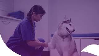 UQ Vet Science