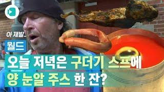 세계의 각종 혐오 음식을 모아봤습니다(한국에서는 ㅇㅇㅇ가 뽑혔다는데?) / 비디오머그