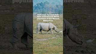 About Kaziranga National Park  | One Horned Rhino   #shorts