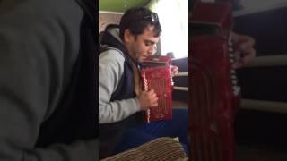 Цыгане на гармошке и баяне сыграли бодро