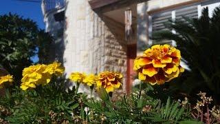 למכירה בית צמוד קרקע דו משפחתי בקרית עקרון