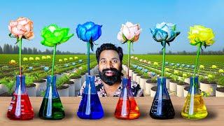 Magical Flower Experiment | മാന്ത്രിക റോസാപൂ പരീക്ഷെണം | M4 Tech |