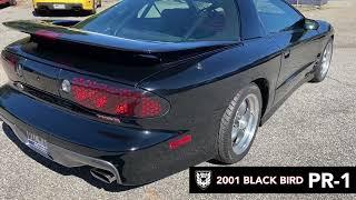 2001 Black Bird by GMMG PR-1 - Exhaust