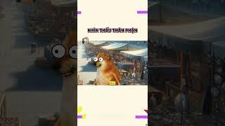 Nhìn thấu thân phận | Cheems Nhân Văn