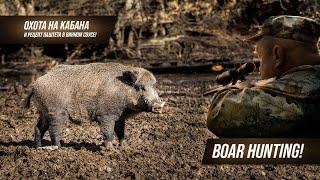 Охота на кабана и рецепт паштета в винном соусе! Boar hunting! Best shots!